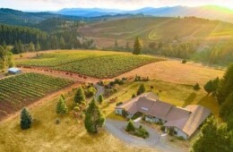 Oakland, OR – Mont Rouge Vineyard